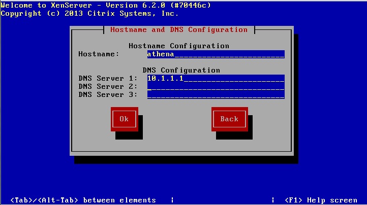 xenServerInstall-013-dns